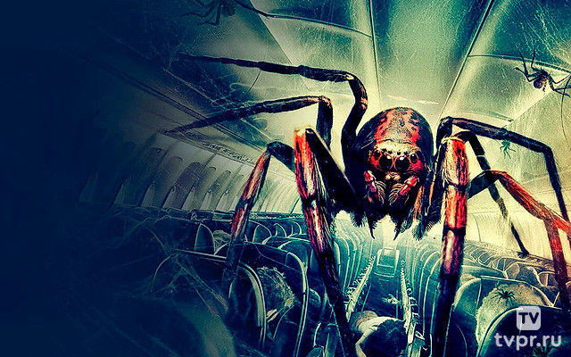 Паучий рейс