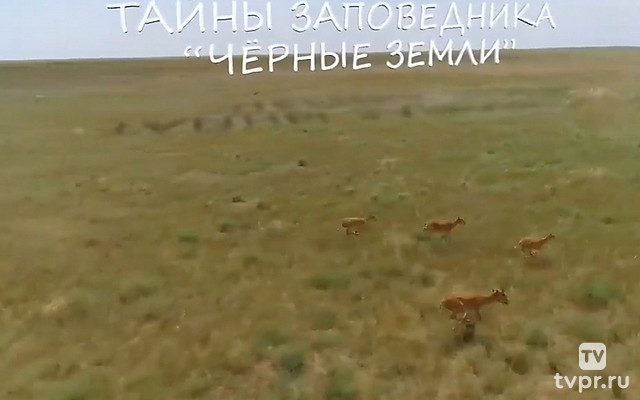 Тайны заповедника «Чёрные земли»