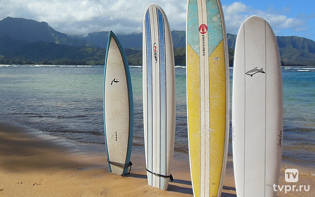 Сёрфинг. Альфа-Банк Wakesurf Cup 2025. Wakeskim. Женщины. Трансляция из Москвы