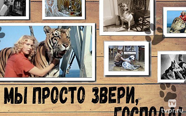 Мы просто звери, господа!