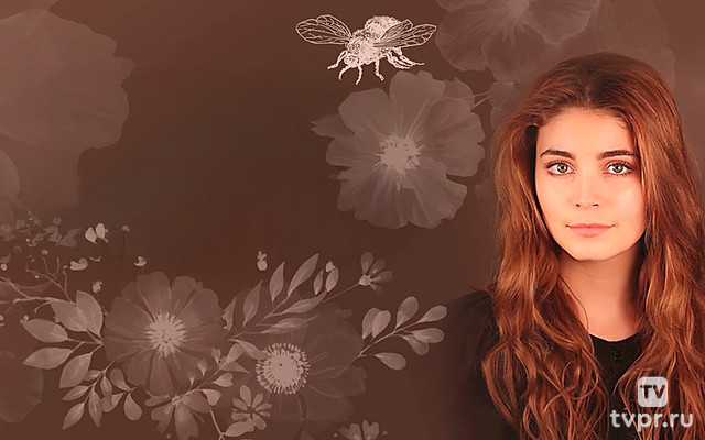 Медовая любовь