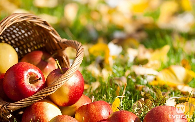 На зимний стол август готовит разносол