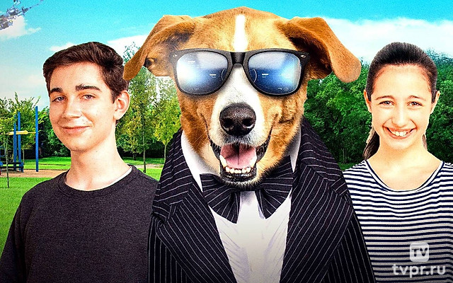 Пёс под прикрытием