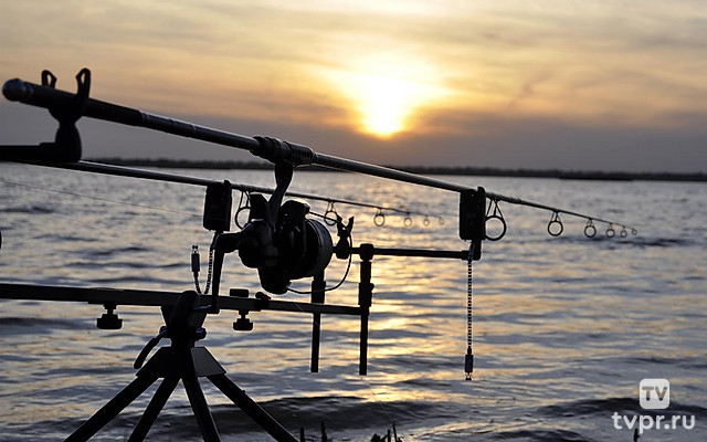 Карпфишинг