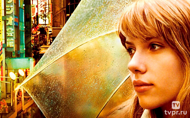 Трудности перевода