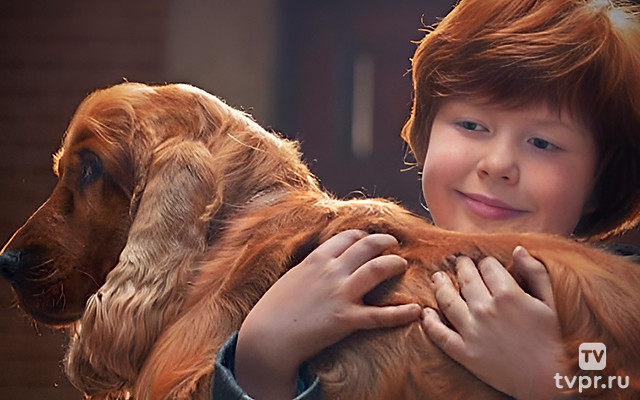 Буль и Билл