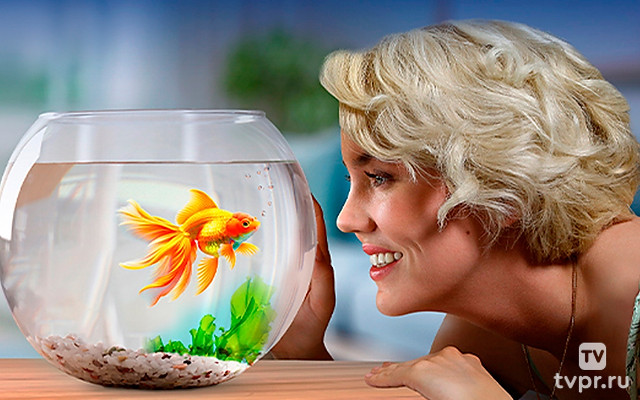 Рыбка по имени Люба
