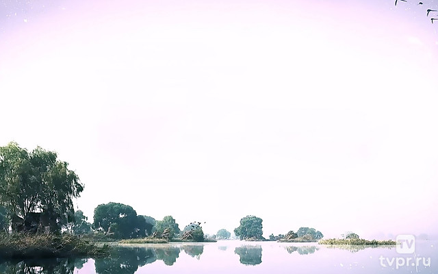 Болото Ансим. Разные времена года