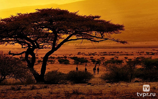 Южная Африка