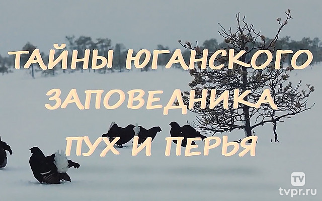 Тайны Юганского заповедника
