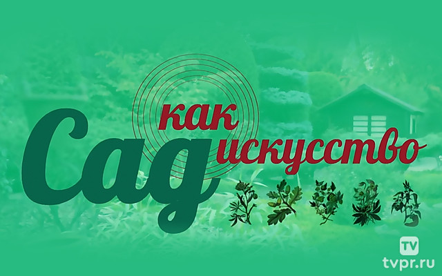 Сад как искусство