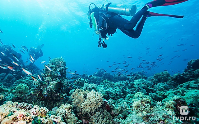 Всемирные Игры 2025. Подводный спорт. Плавание в ластах (индивидуально). Финалы и награждения