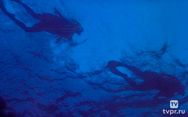 Бухта пропавших дайверов