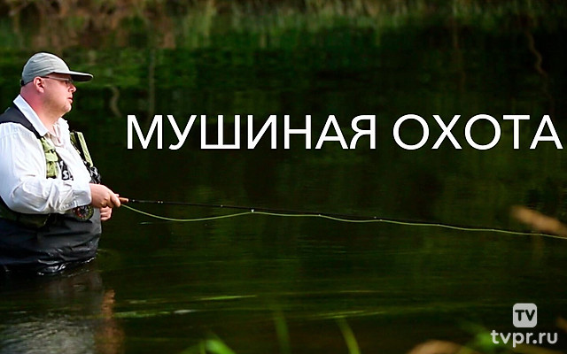 Мушиная охота