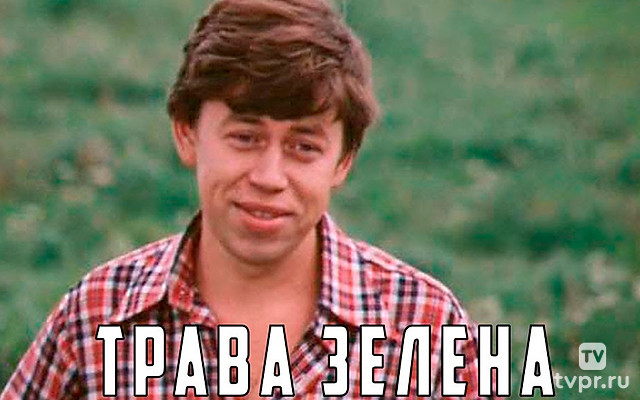 Трава зелена