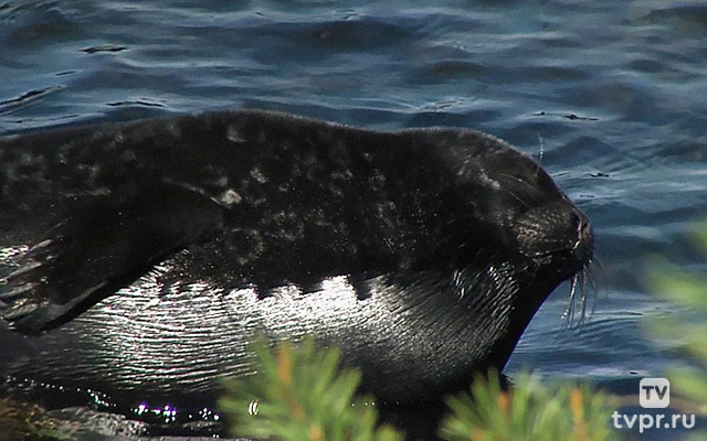 Моя неизвестная страна