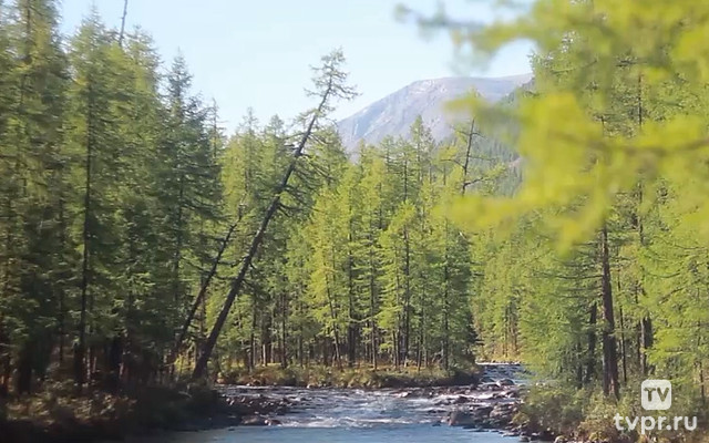 Река Даялык