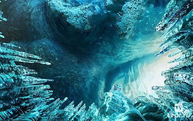 Сокровища плаенты