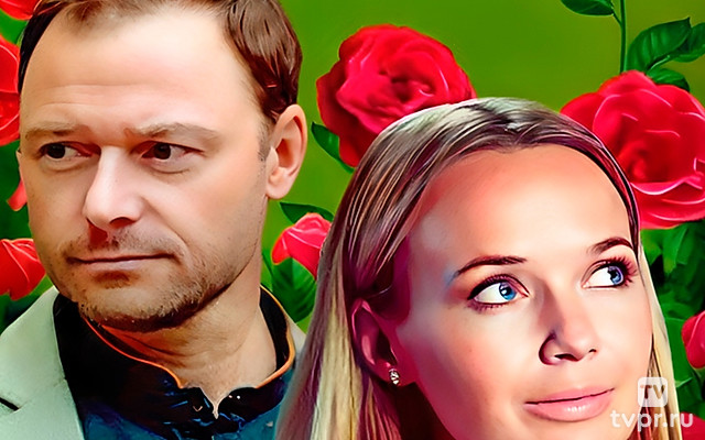 Розы и шипы