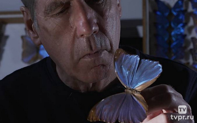 Наука на крыльях бабочки