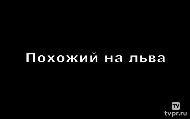 Похожий на льва