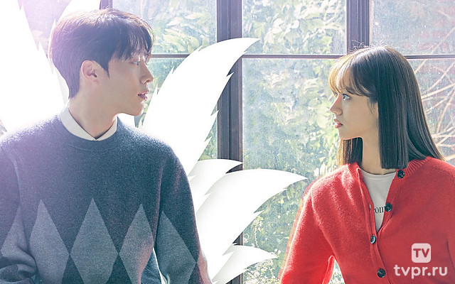 Мой сосед – кумихо