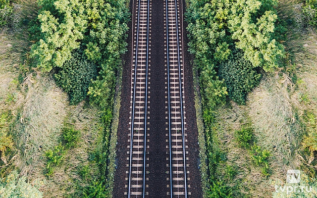 Высокоскоростные поезда Китая