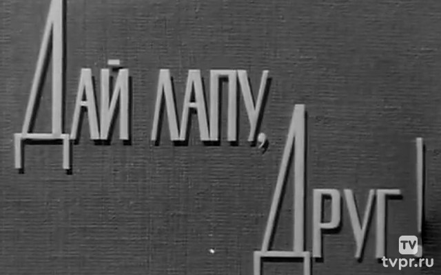 Дай лапу, Друг!