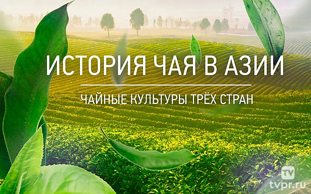История чая в Азии. Чайные культуры трёх стран
