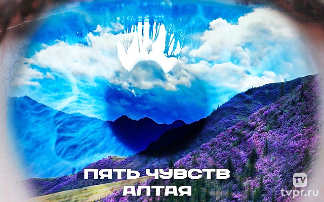 Пять чувств Алтая