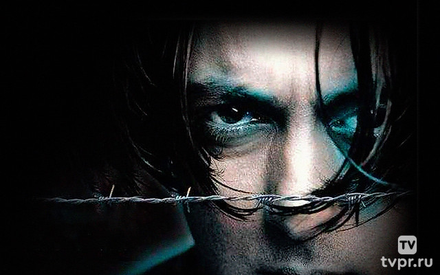 Всё отдаю тебе