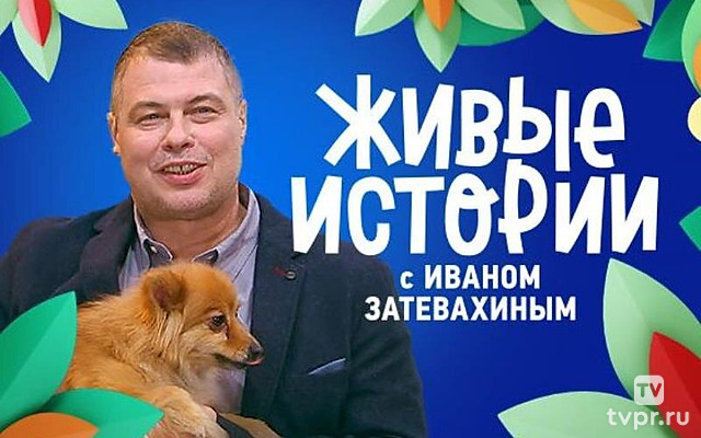 Живые истории