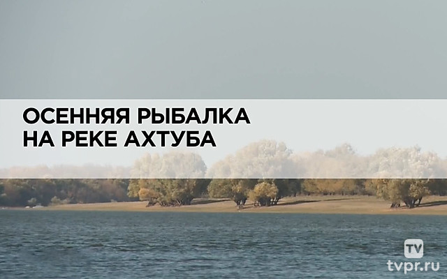 Осенняя рыбалка на реке Ахтуба