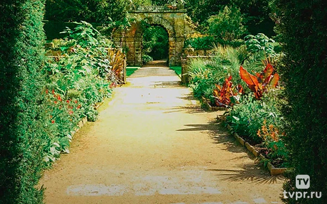 Невероятный сад