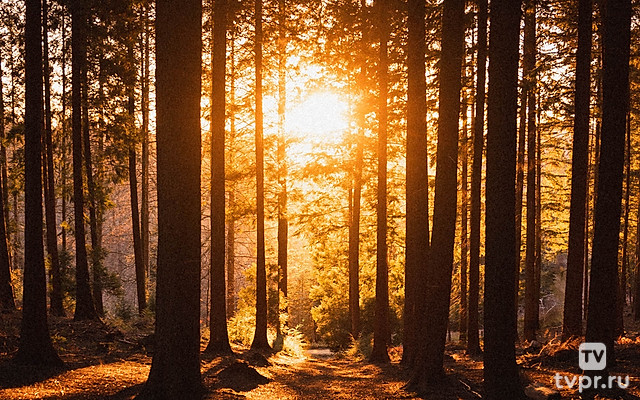 Осень в подмосковье