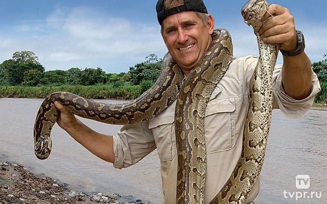 Смертельная встреча