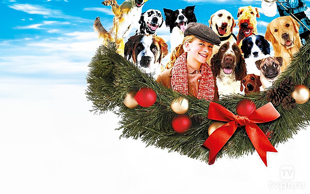 12 Рождественских собак