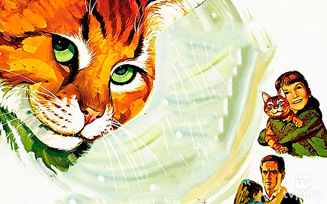 Три жизни Томазины