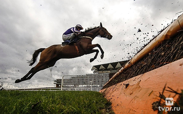 Пятиборье. UIPM Кубок мира 2026. 1-й этап. Каир. Финал. Женщины