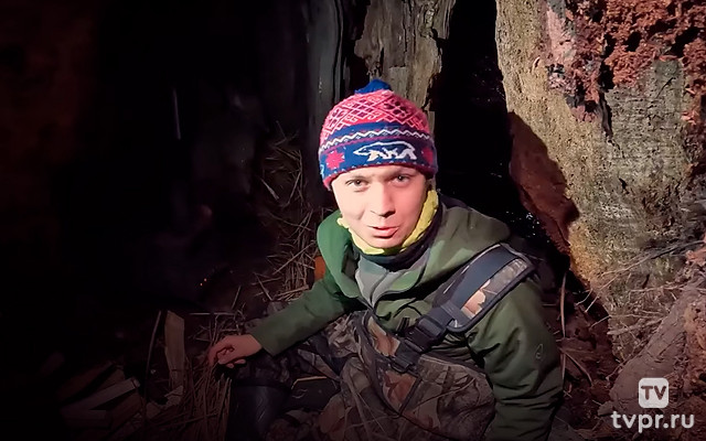 В дупле дерева - Илья Колчин