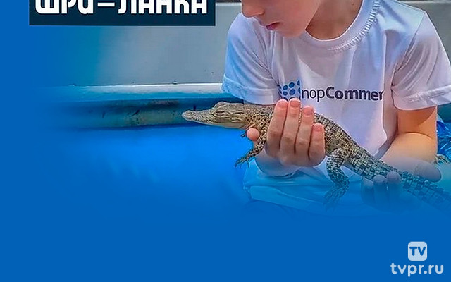 Шри-Ланка - Андрей Мазульницын