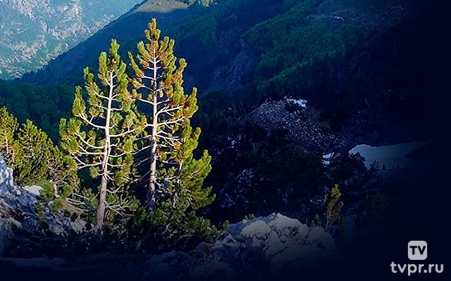 Вокруг света пешком. Албания. Тропа Виа Динарица - Валерий Шанин.