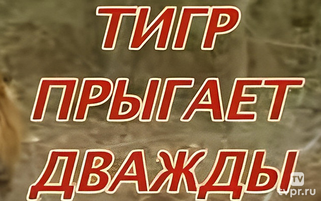 Тигр прыгает дважды