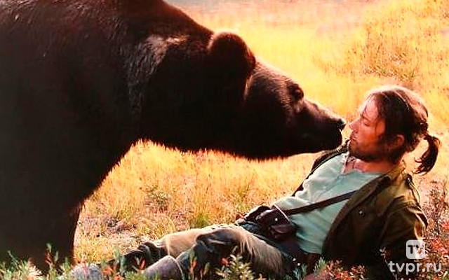 Сердце медведицы