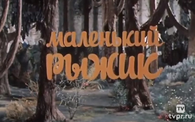 Маленький рыжик