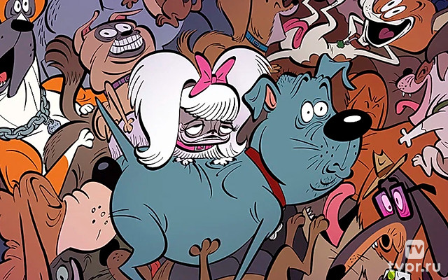 Стерилизован