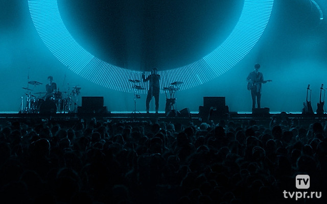 Дельфин «Прощай оружие»