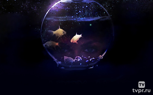 Парадокс Элис