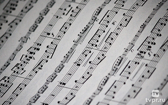 13 поручений