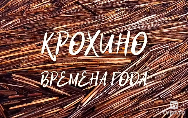 Крохино. Времена года